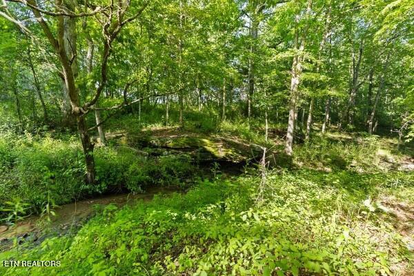 2540 Gatewood Ford Road Deer Lodge TN 37726