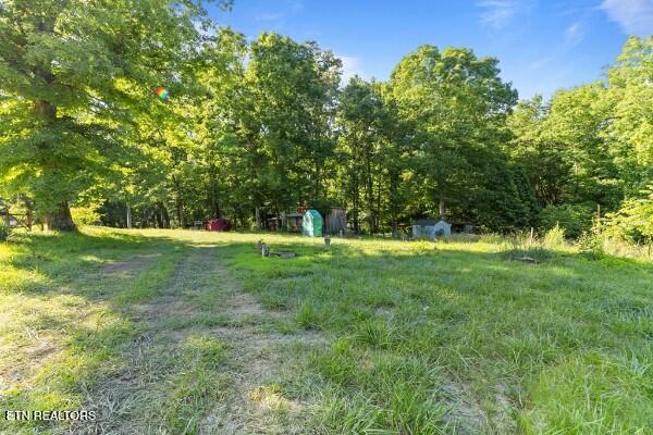 2540 Gatewood Ford Road Deer Lodge TN 37726