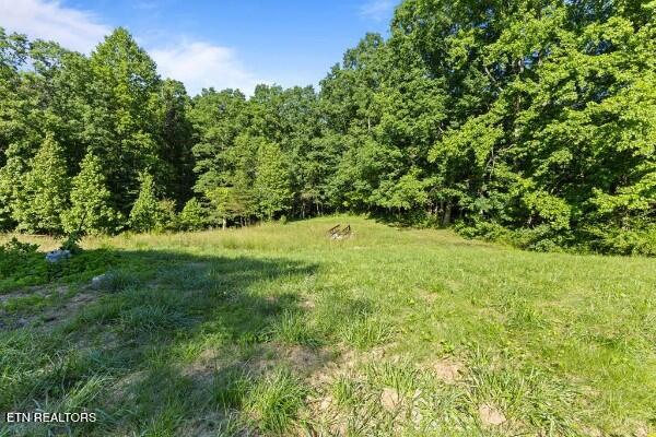 2540 Gatewood Ford Road Deer Lodge TN 37726