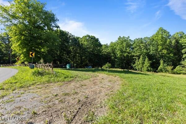 2540 Gatewood Ford Road Deer Lodge TN 37726