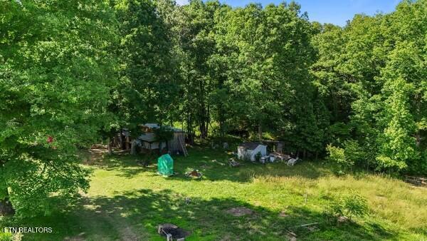 2540 Gatewood Ford Road Deer Lodge TN 37726