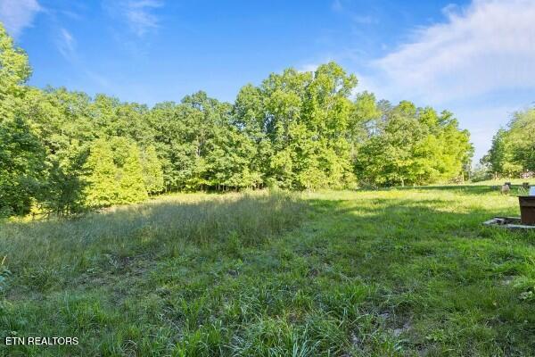 2540 Gatewood Ford Road Deer Lodge TN 37726
