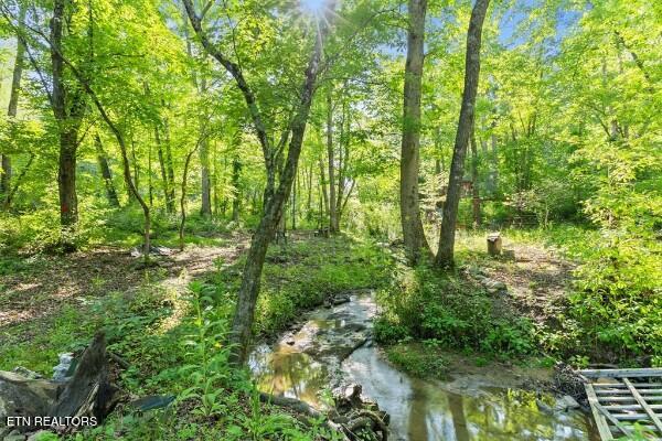 2540 Gatewood Ford Road Deer Lodge TN 37726