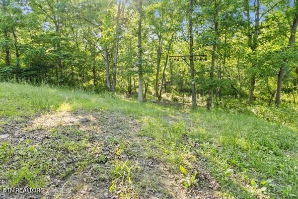 2540 Gatewood Ford Road Deer Lodge TN 37726