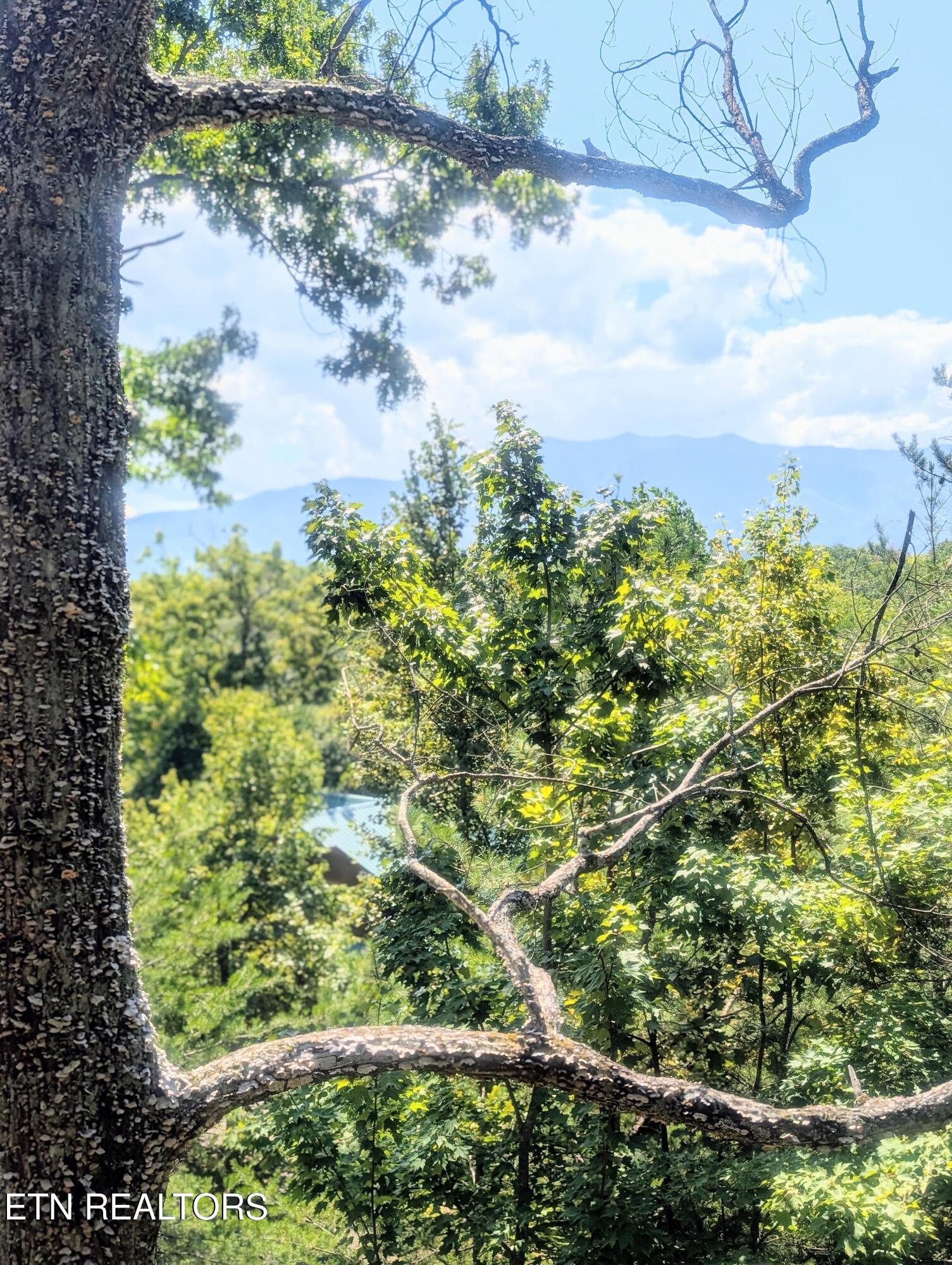 2152 E View Drive Sevierville TN 37876
