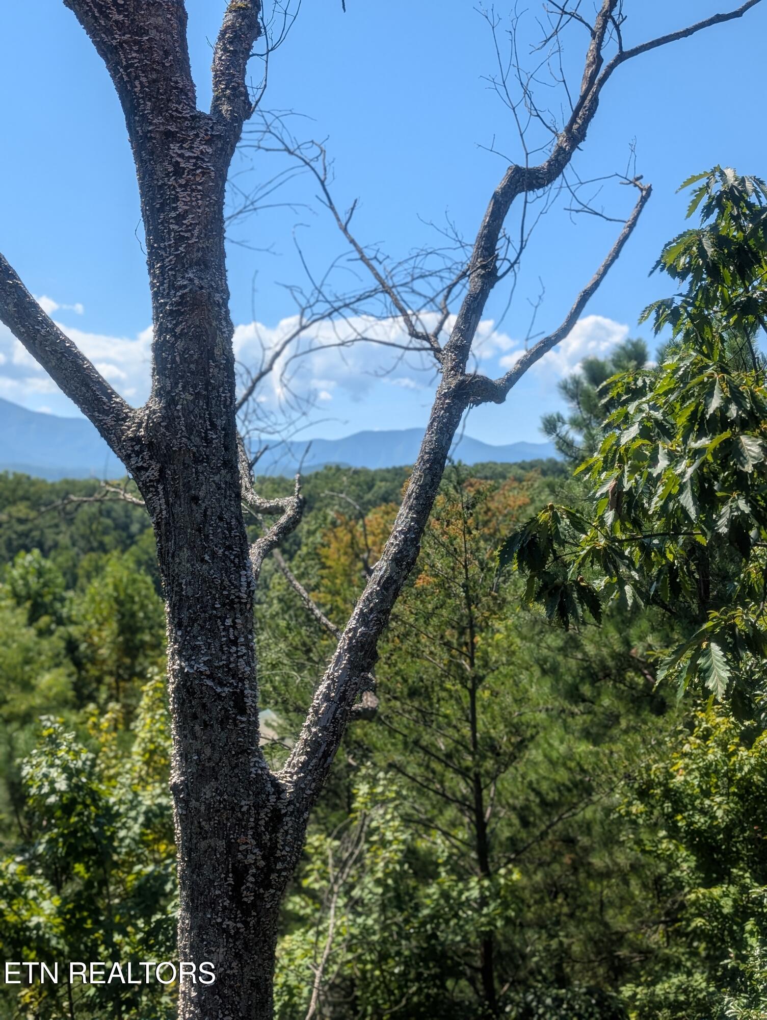 2152 E View Drive Sevierville TN 37876