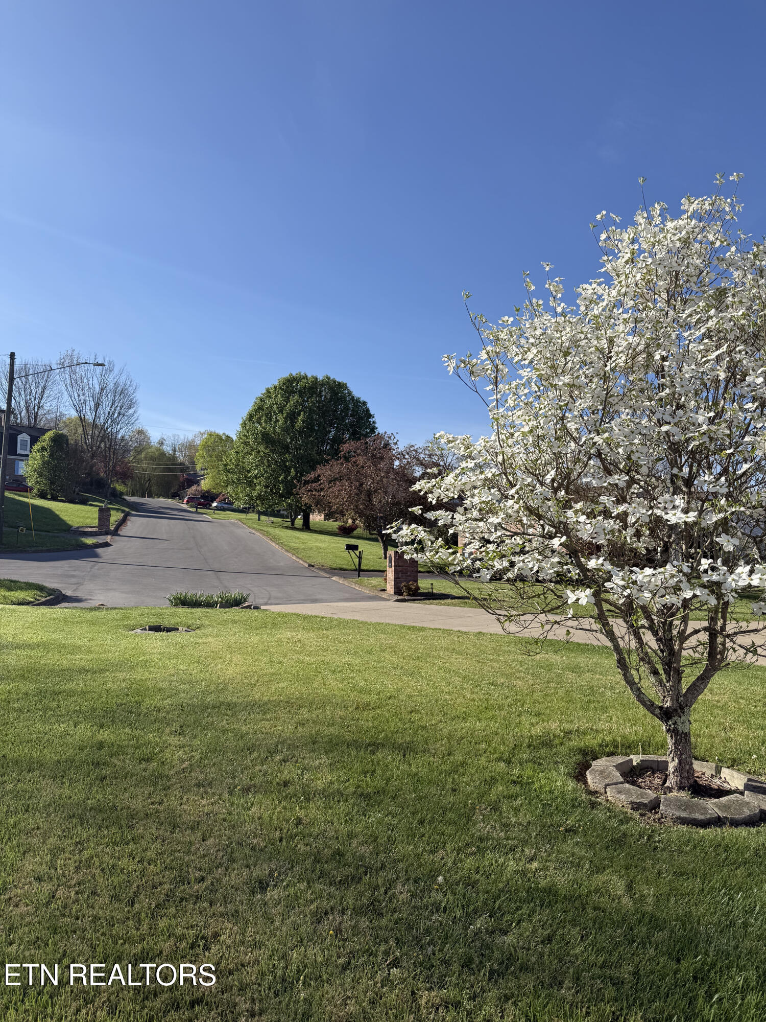 3524 Pinewood Place Kingsport TN 37664