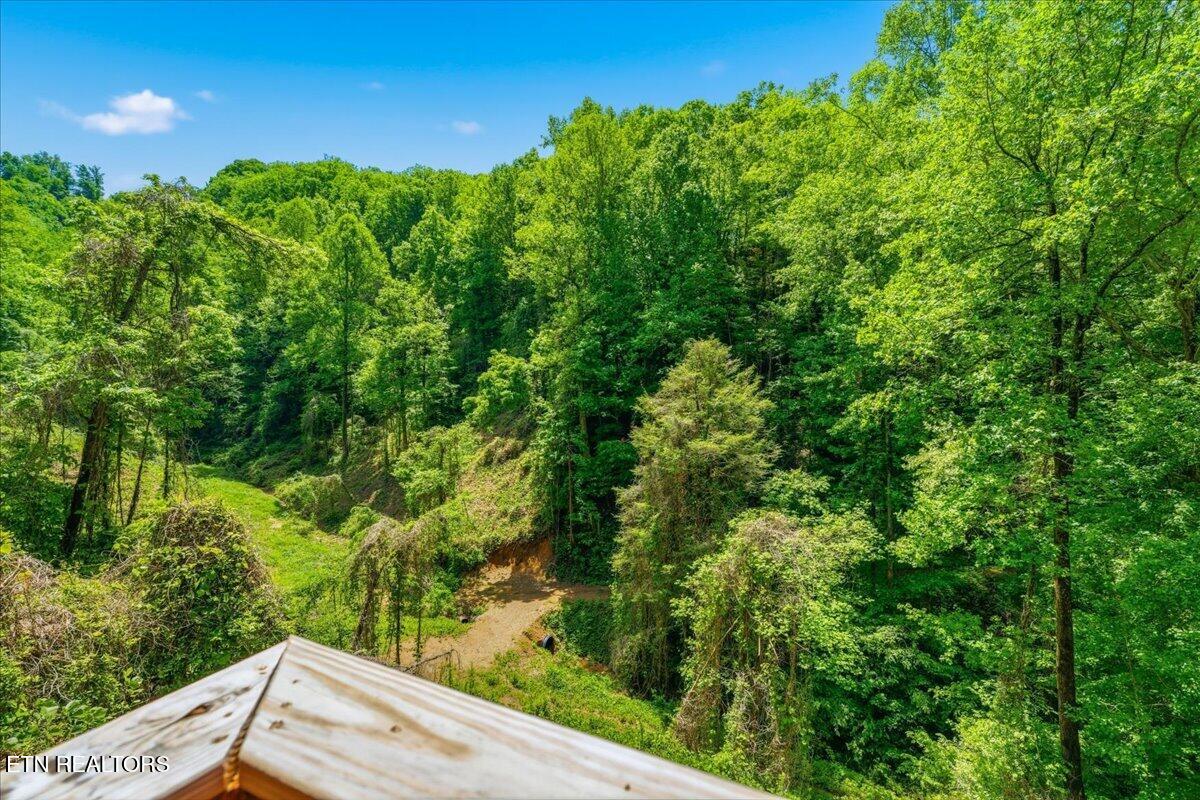 4264 New Pioneer Trail Pigeon Forge TN 37863