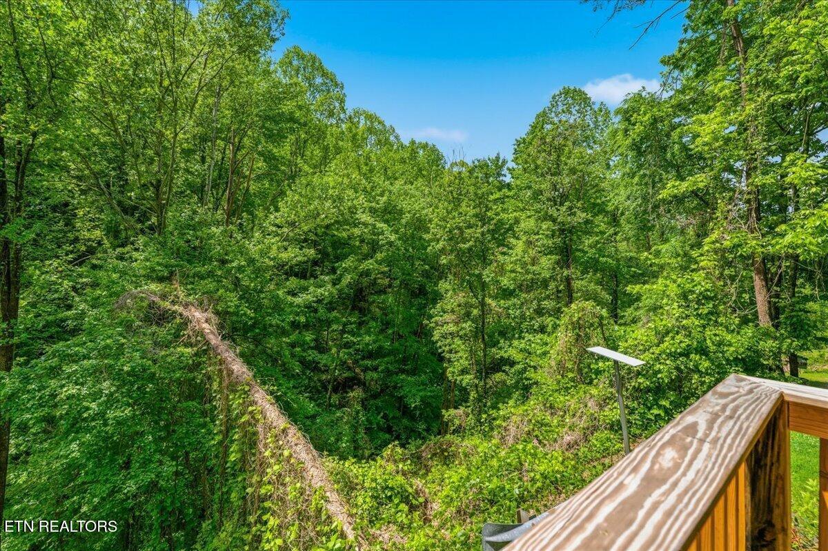4264 New Pioneer Trail Pigeon Forge TN 37863