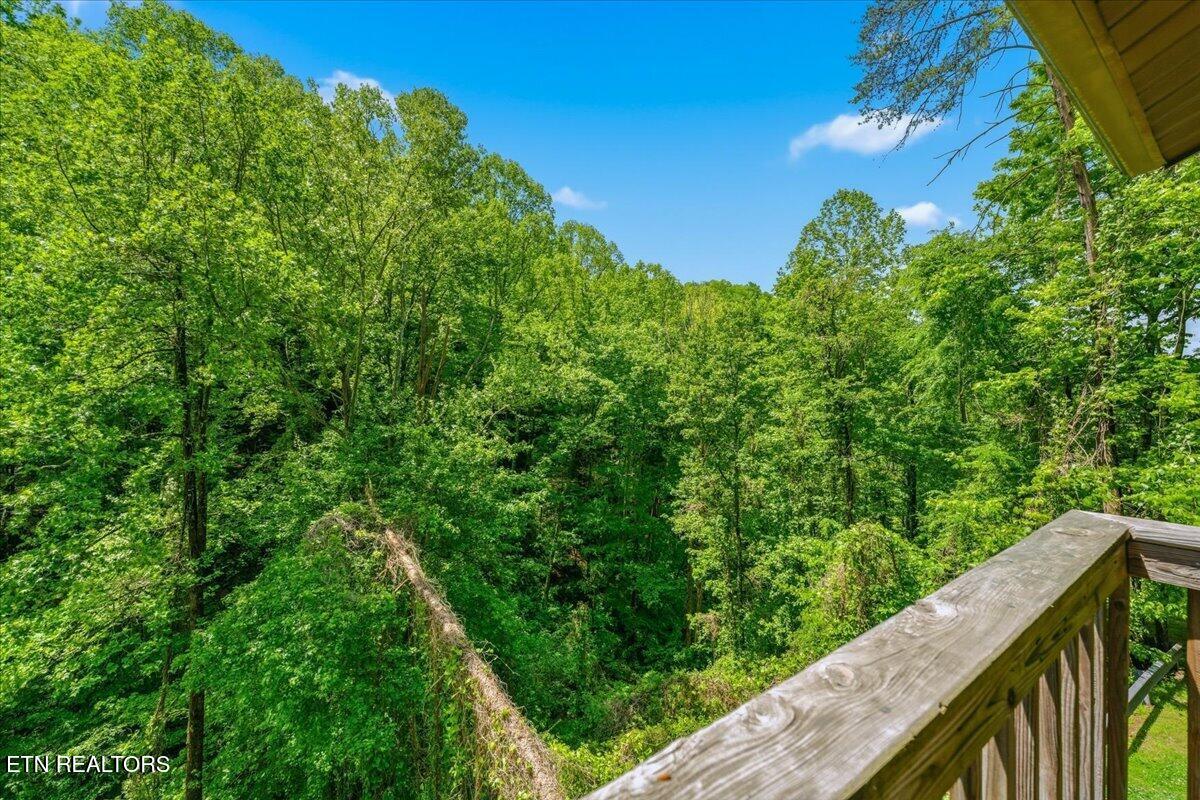 4264 New Pioneer Trail Pigeon Forge TN 37863