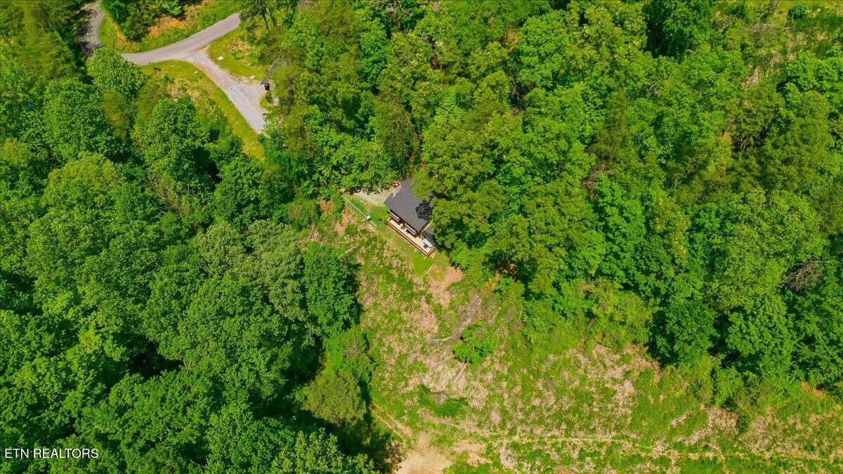 4264 New Pioneer Trail Pigeon Forge TN 37863