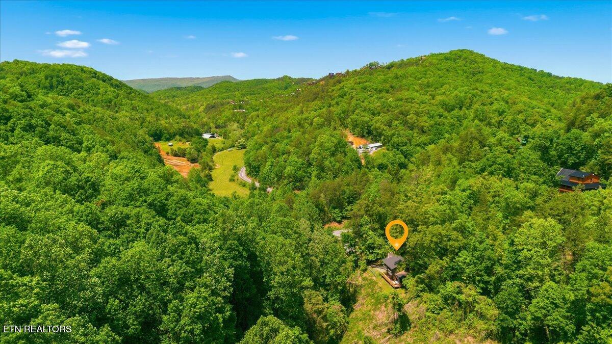 4264 New Pioneer Trail Pigeon Forge TN 37863