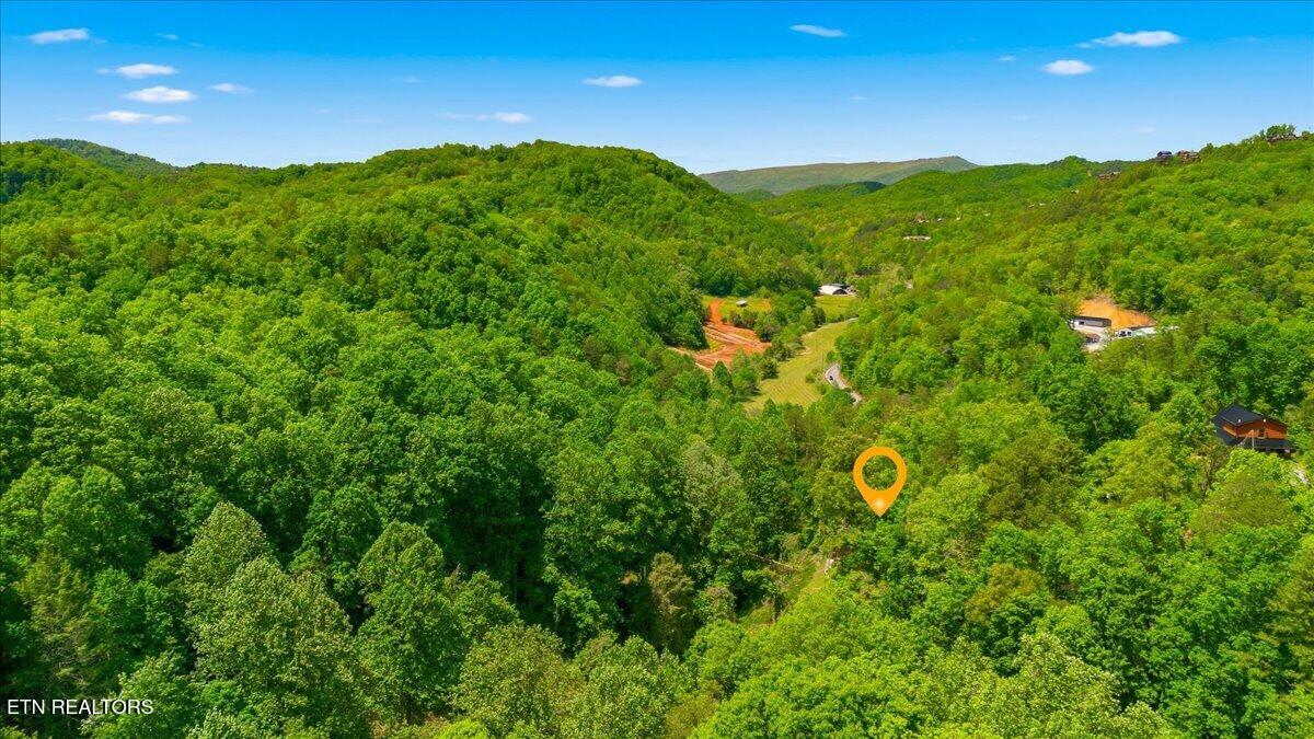 4264 New Pioneer Trail Pigeon Forge TN 37863