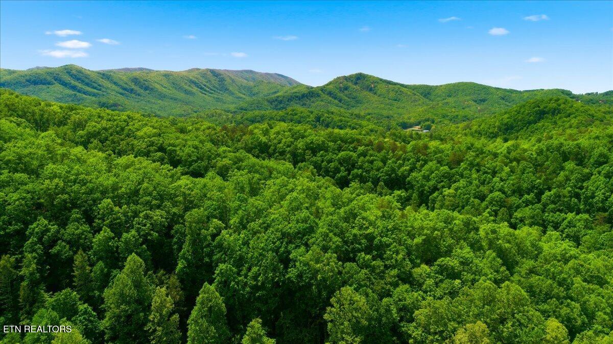 4264 New Pioneer Trail Pigeon Forge TN 37863