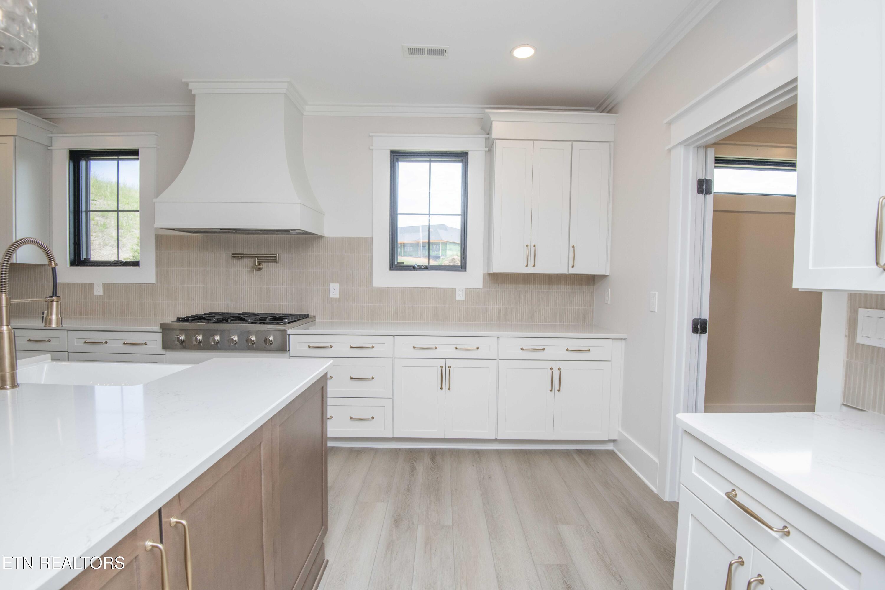 178 Purple Iris Place Loudon TN 37774