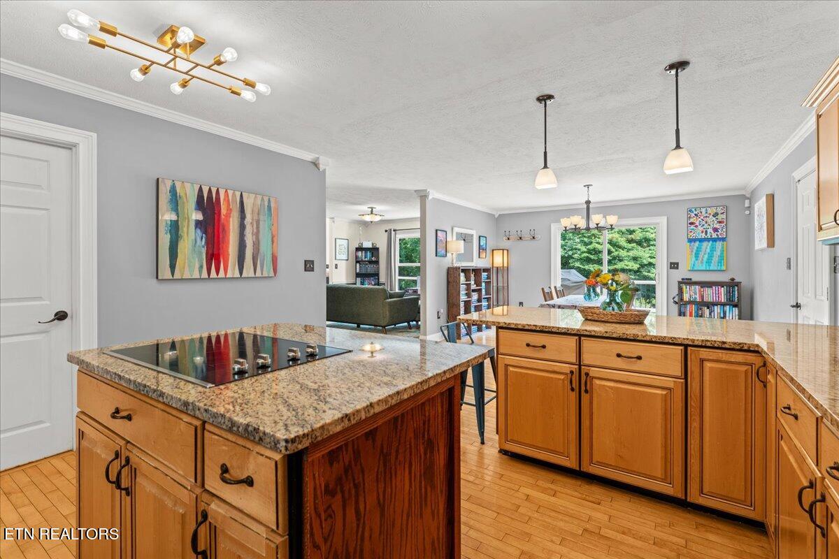 330 Sandalwood Lane Dandridge TN 37725