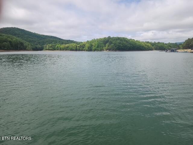 431 Powell Valley Marine Road Lafollette TN 37766