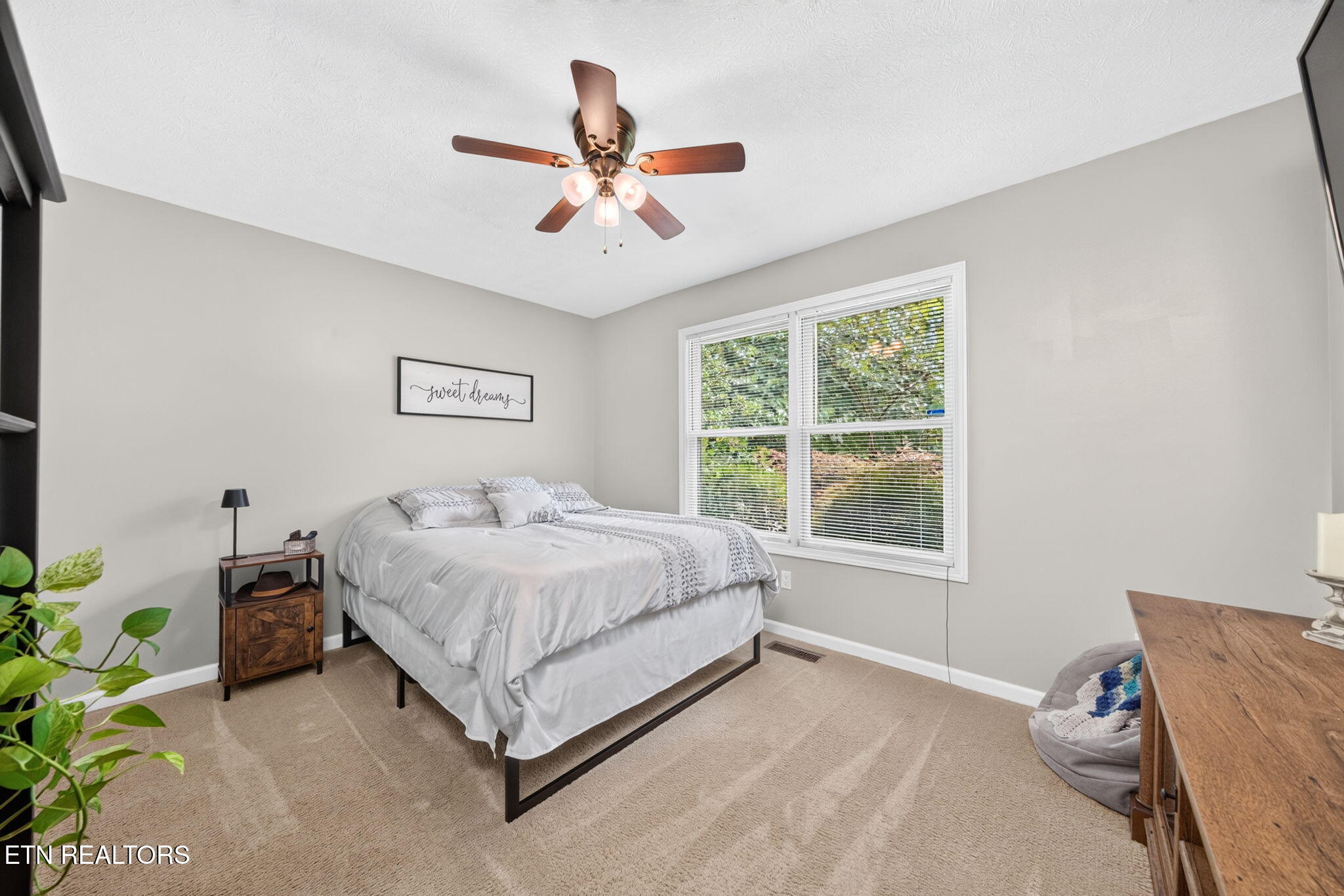 317 Georgee Road Jamestown TN 38556