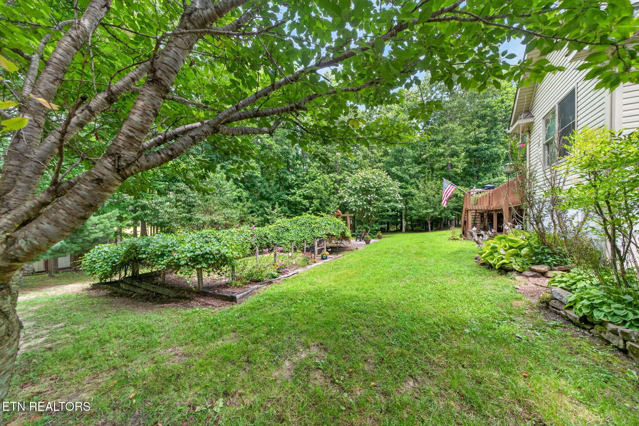 317 Georgee Road Jamestown TN 38556