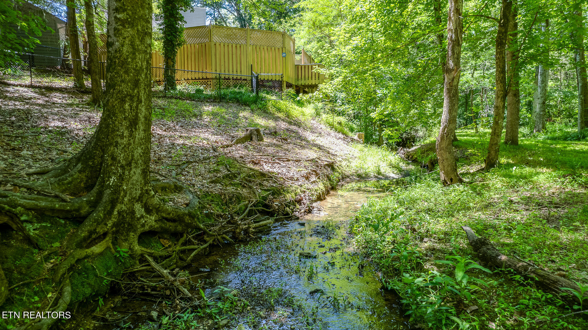 520 Hickory Woods Road Knoxville TN 37934