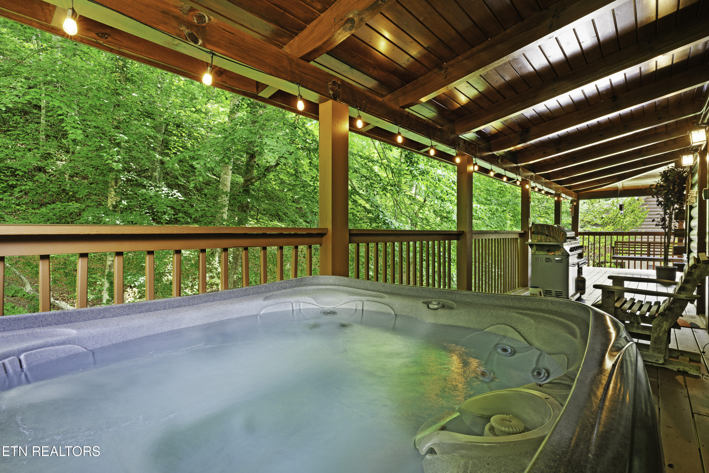1316 Wedge Tailed Lane Sevierville TN 37876