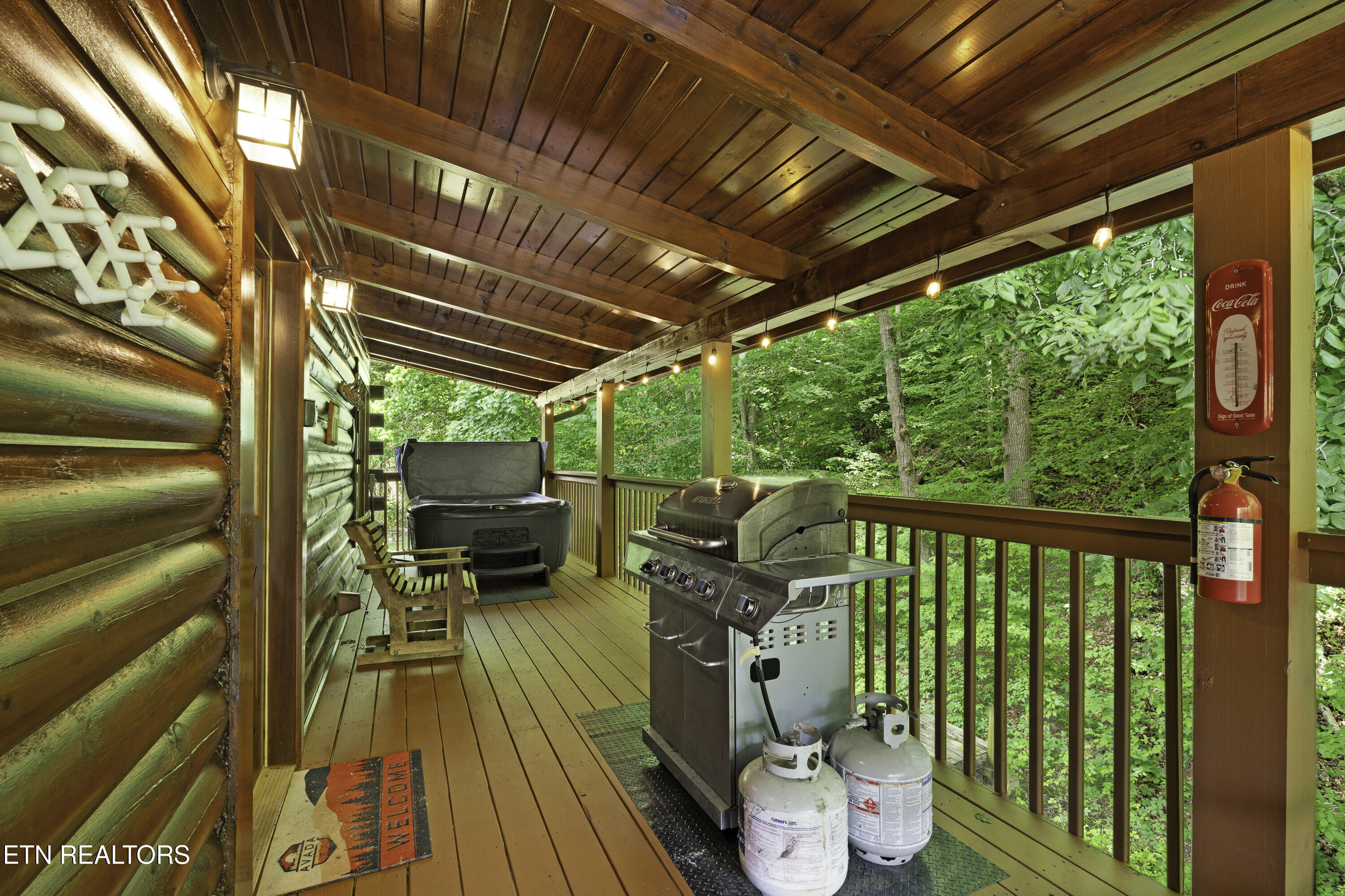 1316 Wedge Tailed Lane Sevierville TN 37876