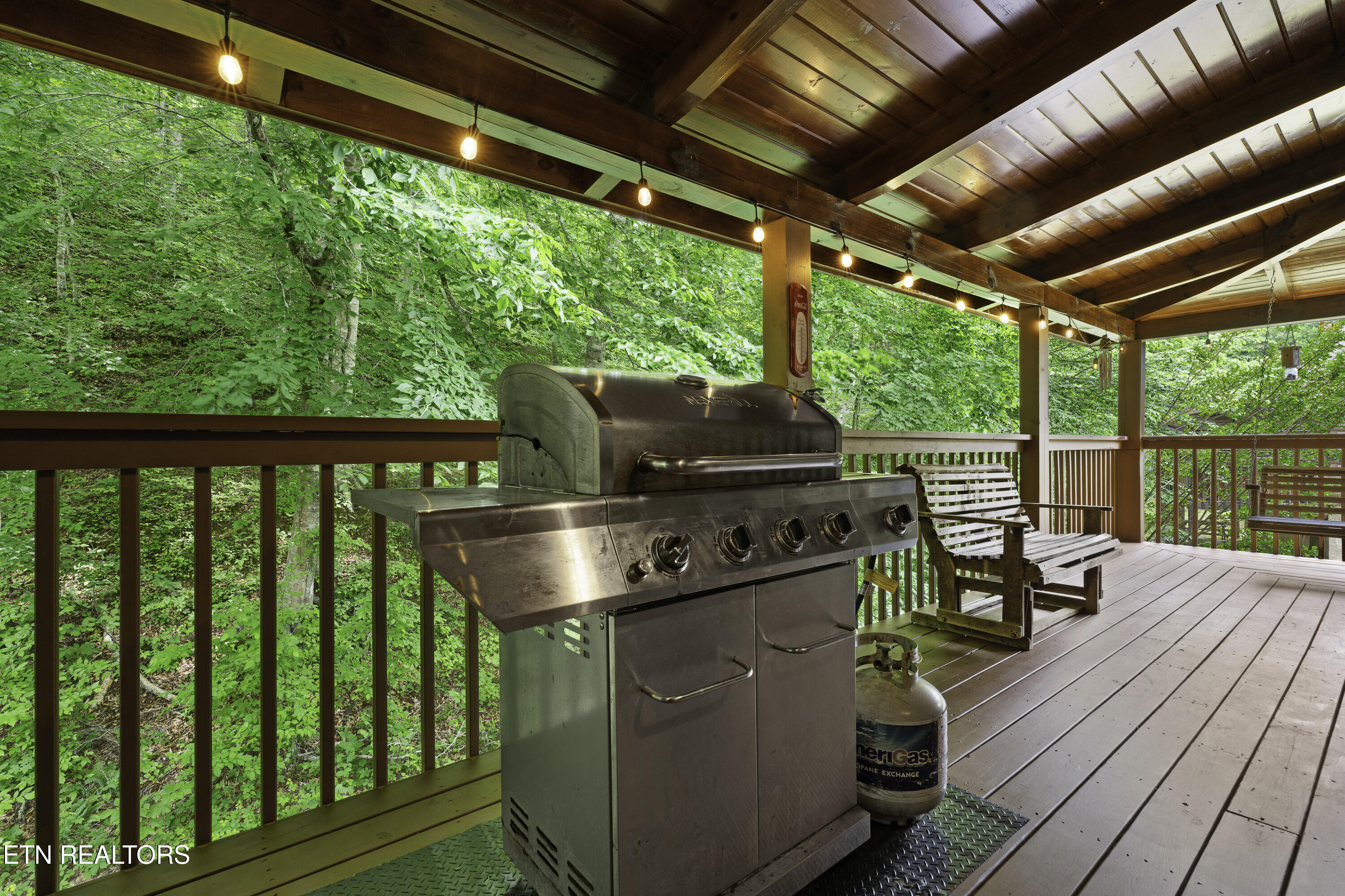 1316 Wedge Tailed Lane Sevierville TN 37876