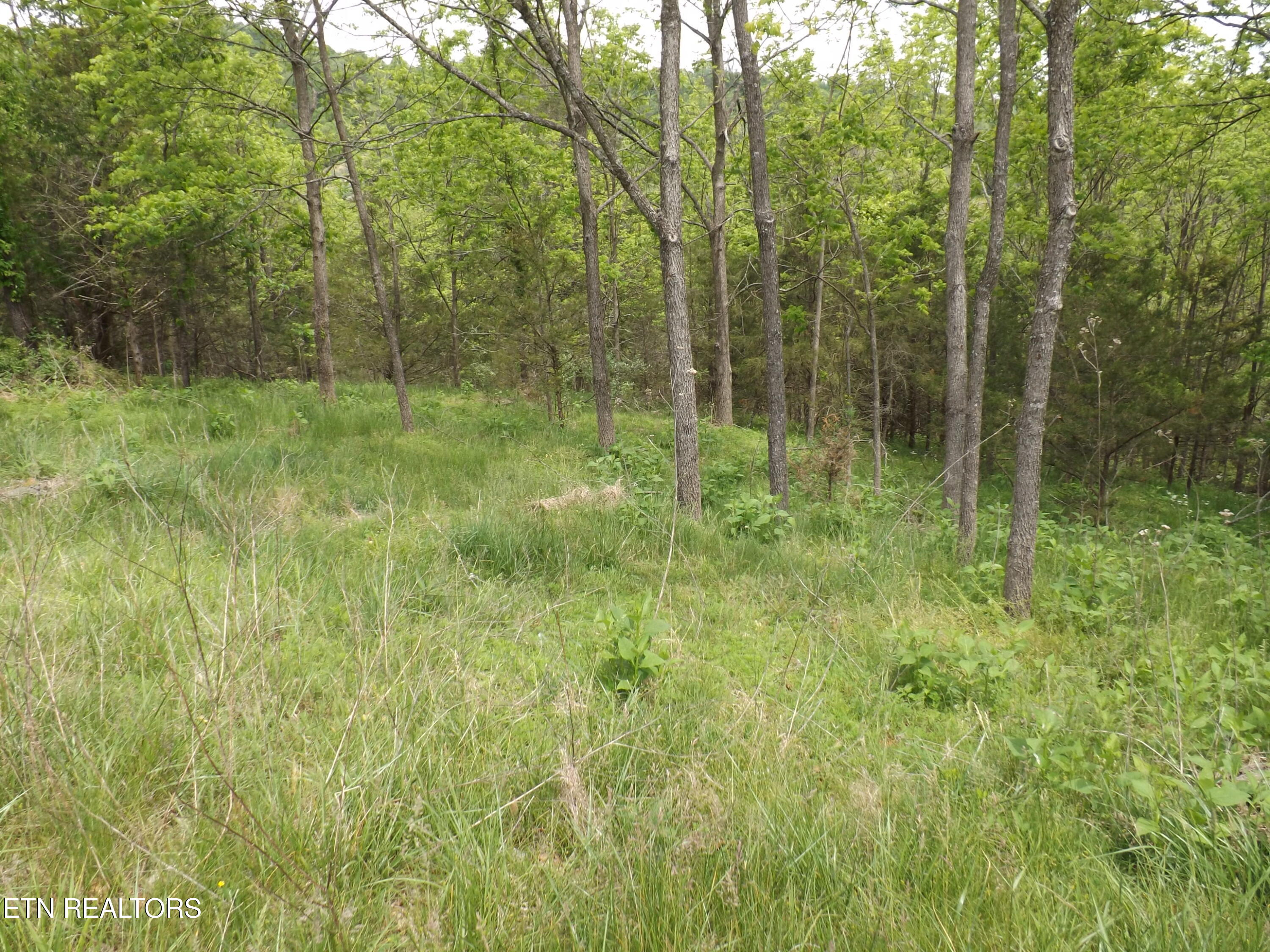 410 Cumberland Estates Road Cumberland Gap TN 37724