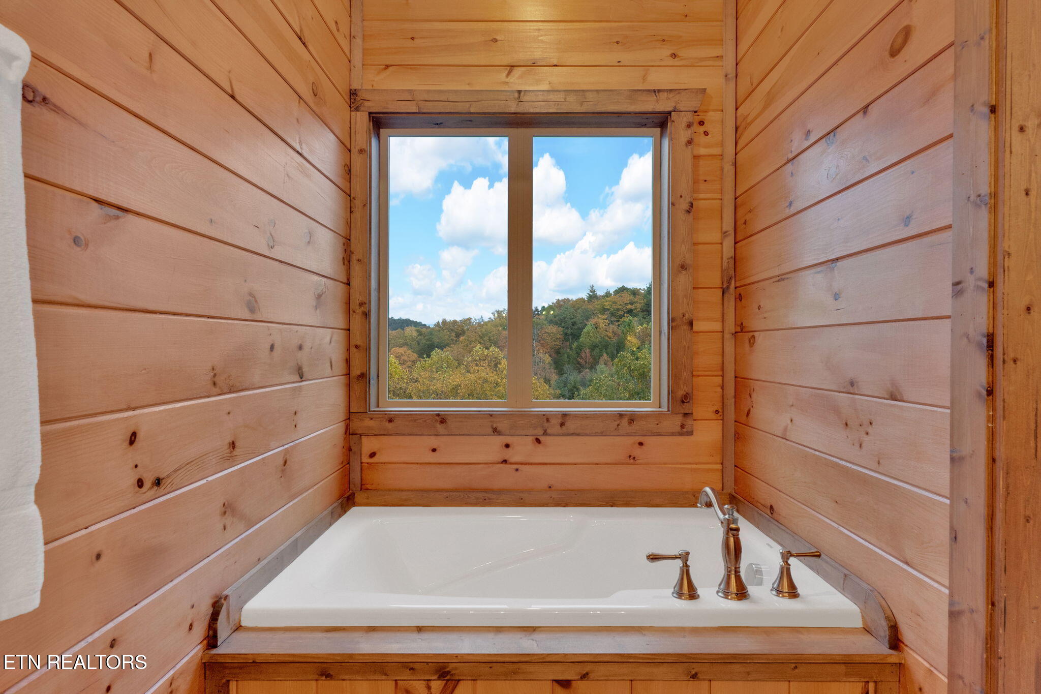 4164 Chamberlain Lane Sevierville TN 37862