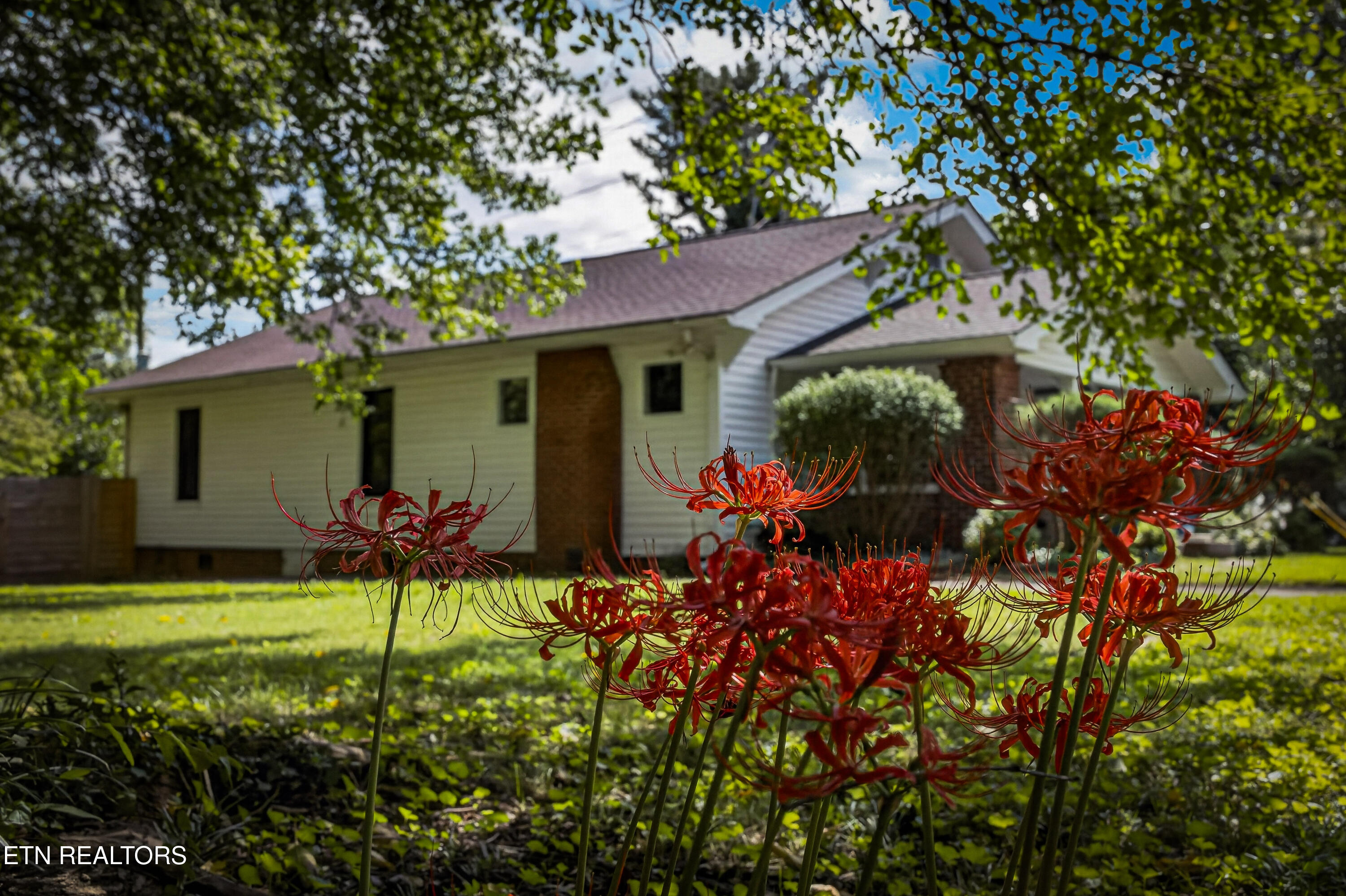 1932 Emoriland Boulevard Knoxville TN 37917