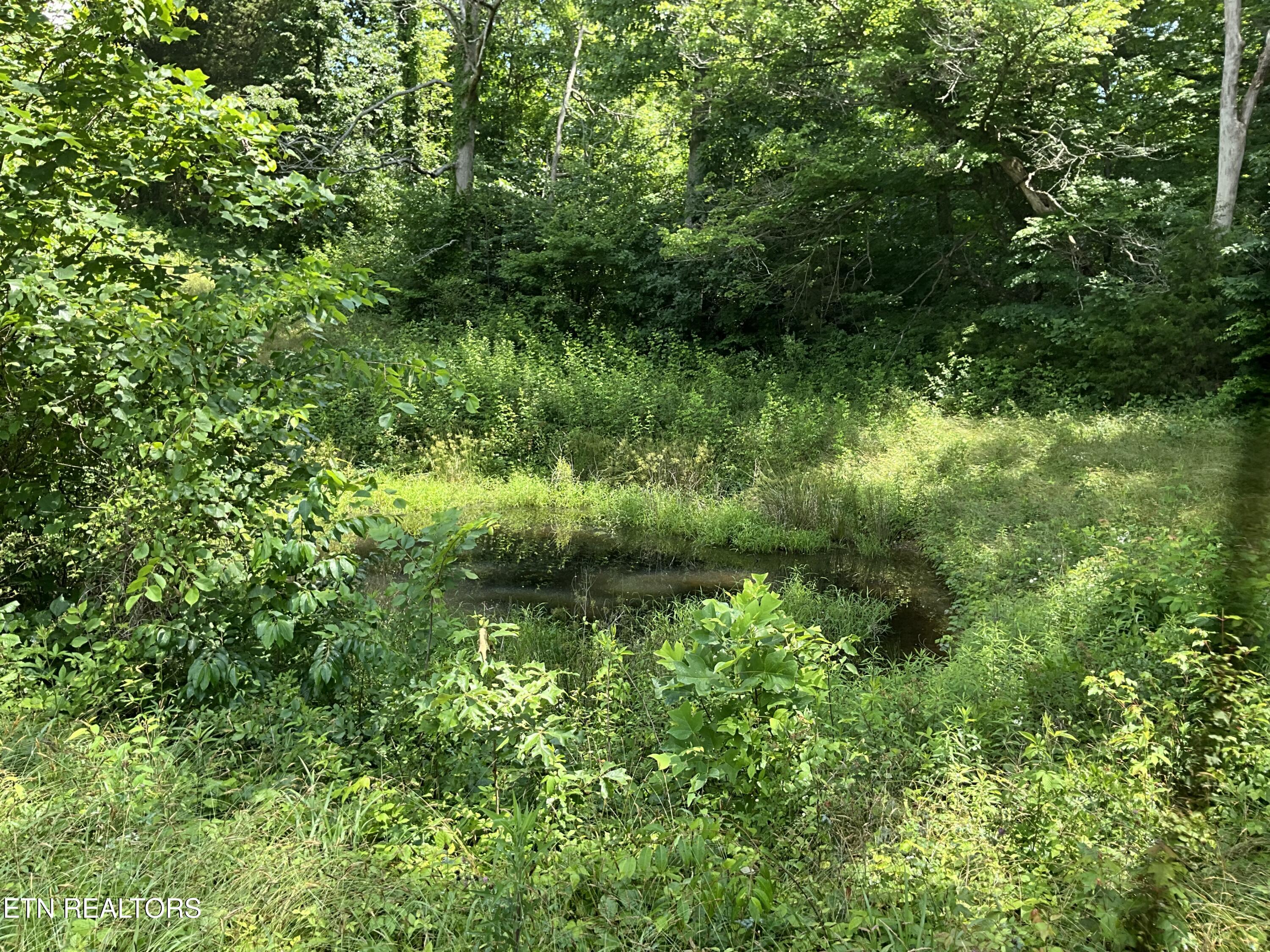 1295 Ailor Gap Road Luttrell TN 37779