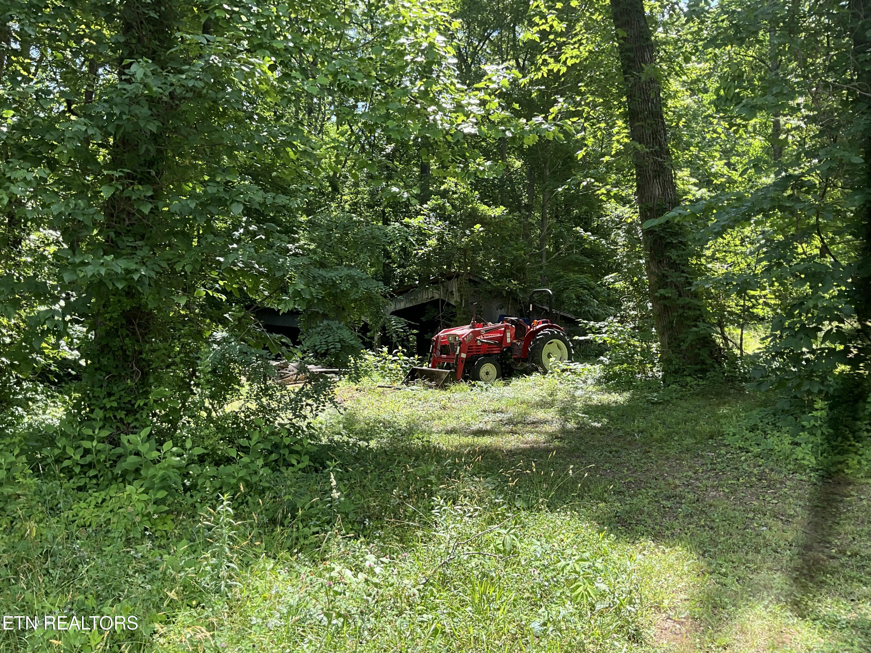 1295 Ailor Gap Road Luttrell TN 37779