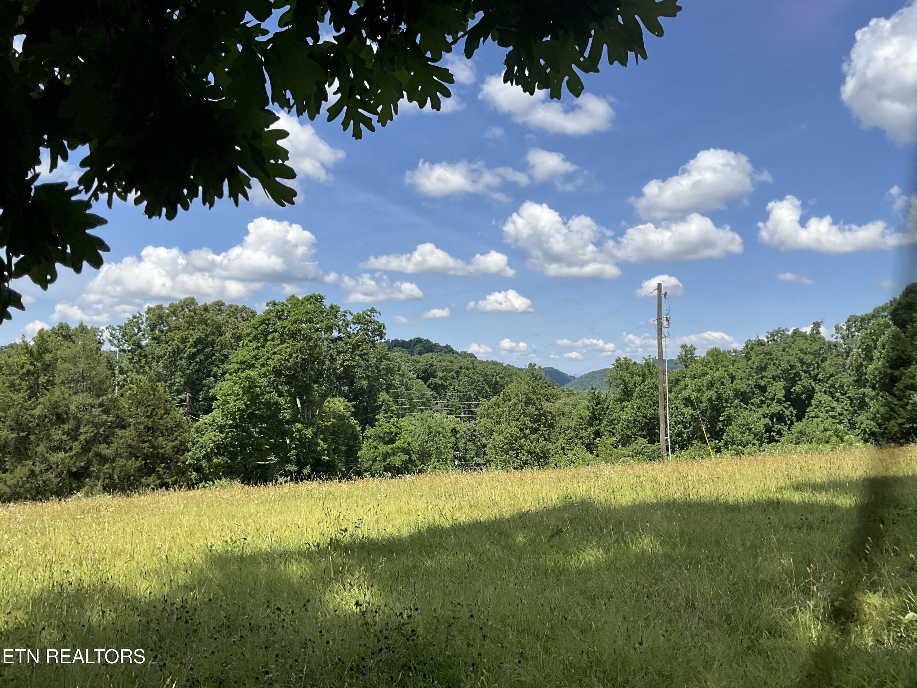 1295 Ailor Gap Road Luttrell TN 37779