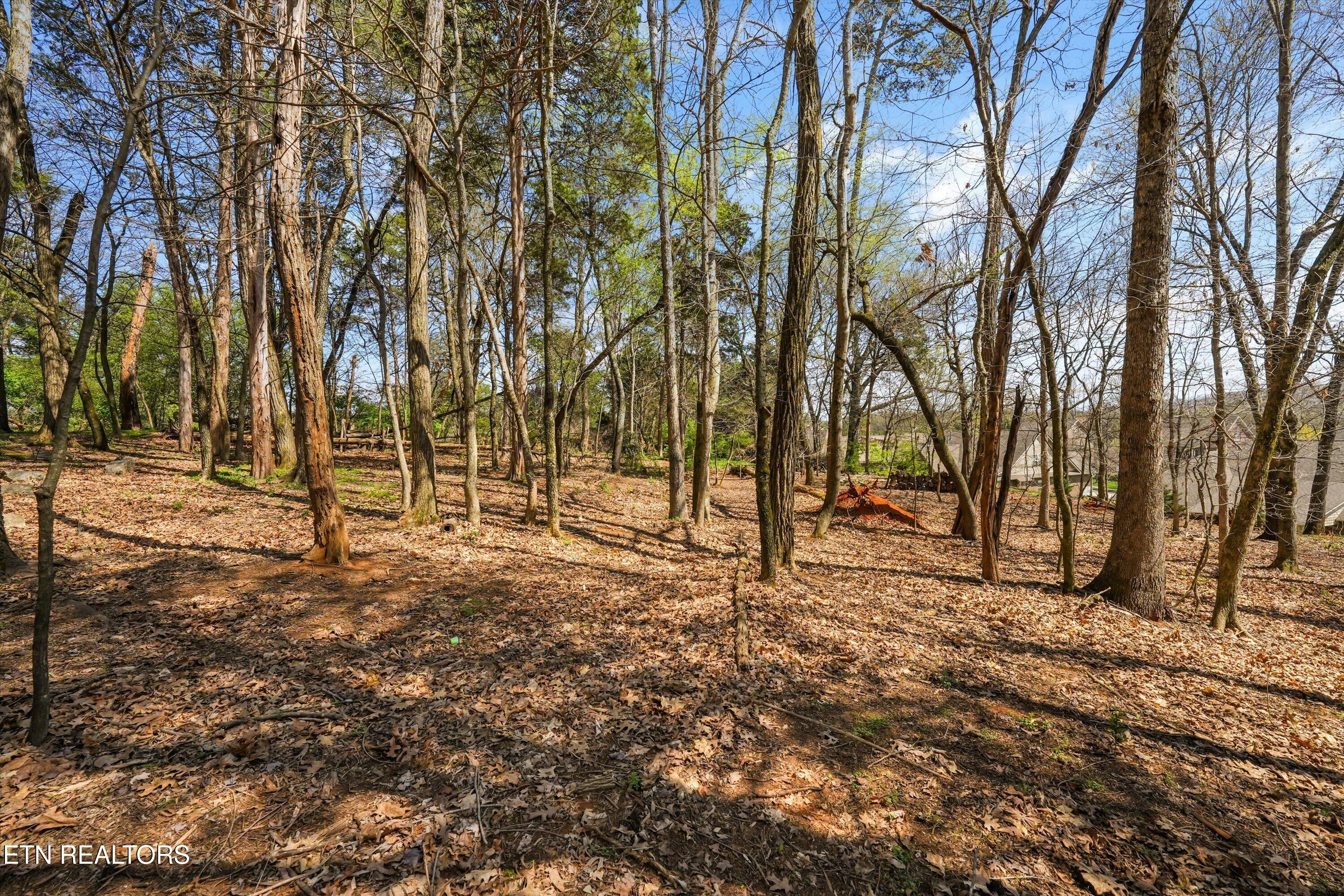 12820 Peach View Drive Knoxville TN 37922