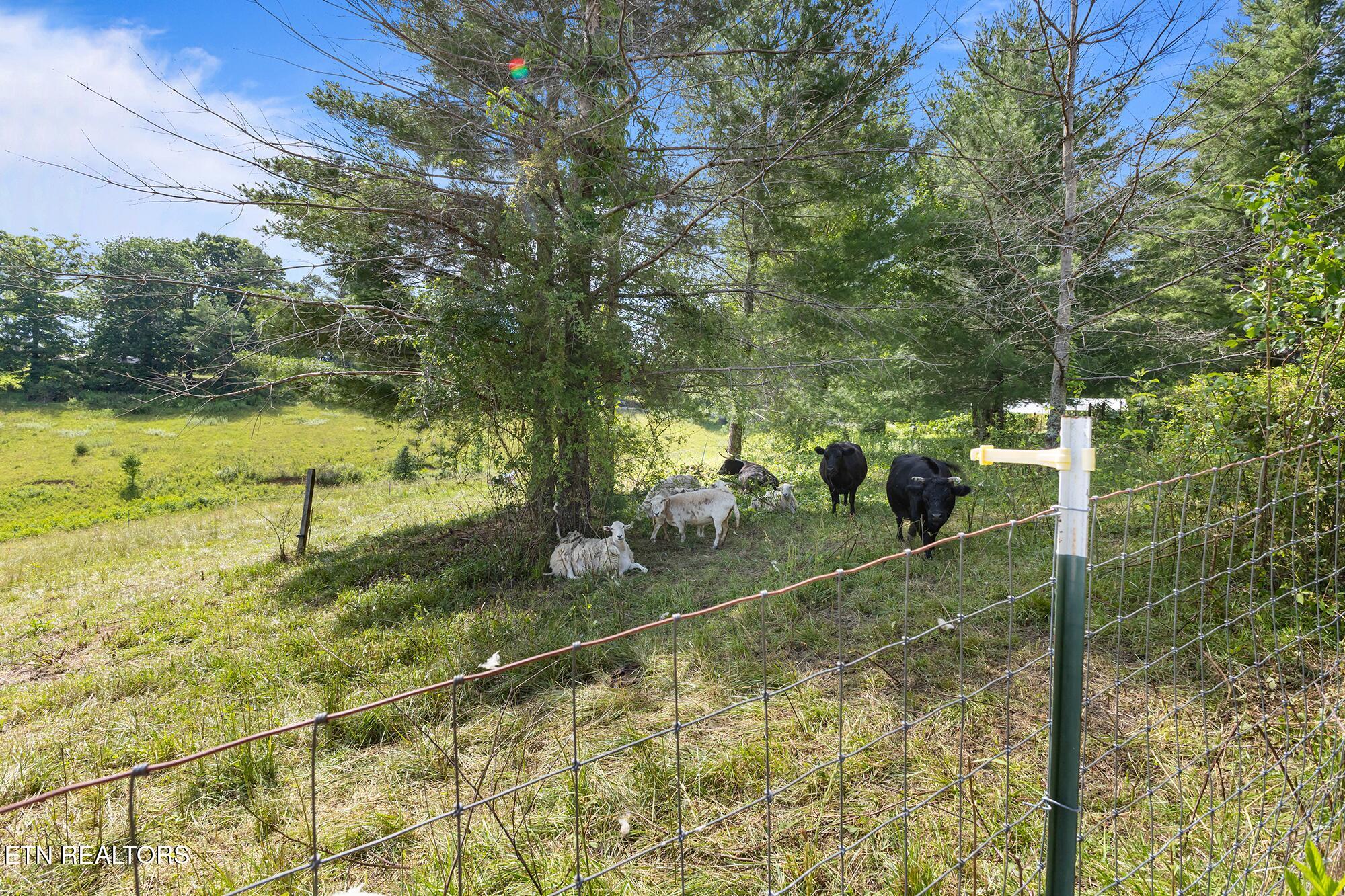 2658 Pickett Park Highway Jamestown TN 38556