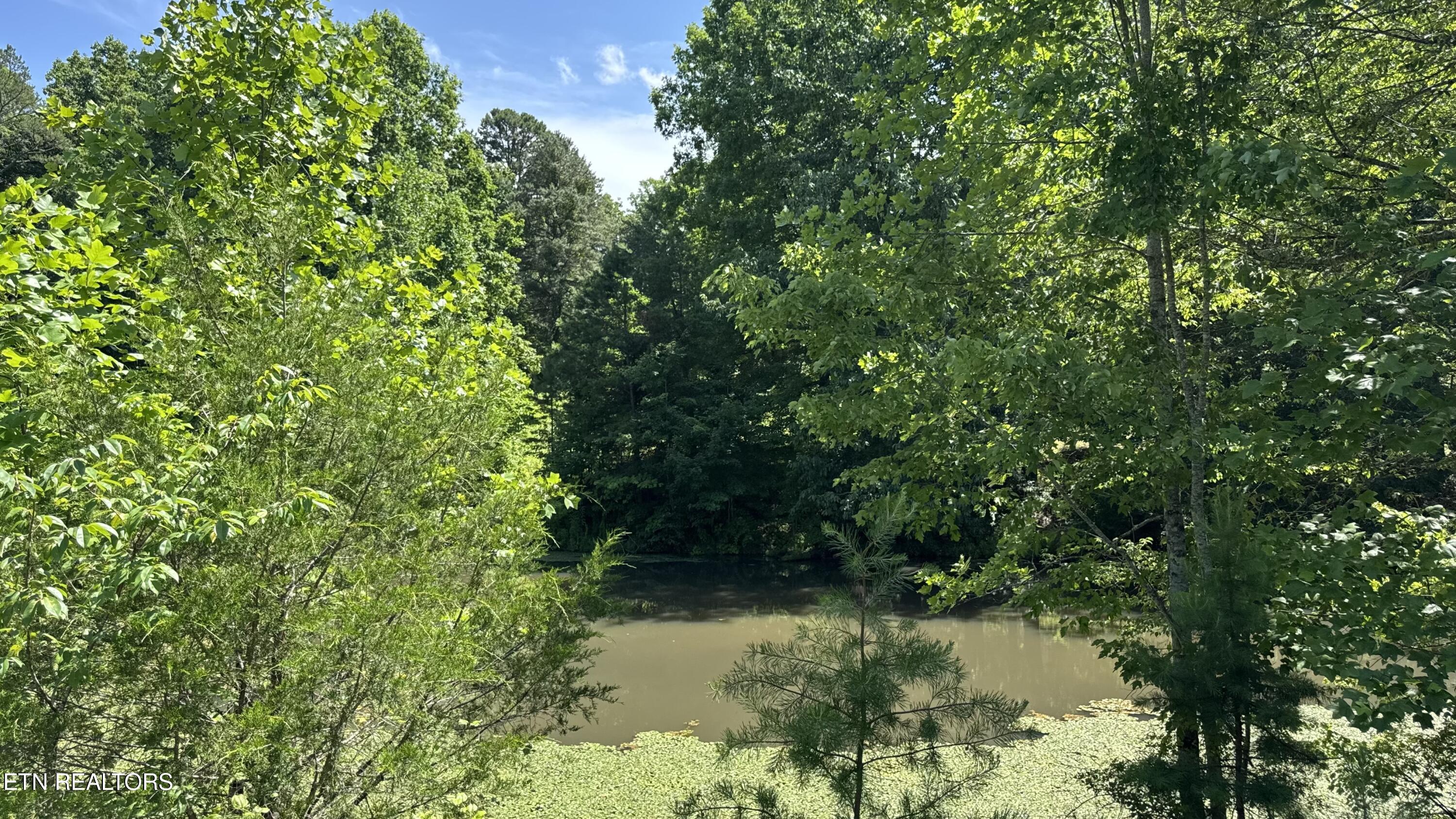 2658 Pickett Park Highway Jamestown TN 38556