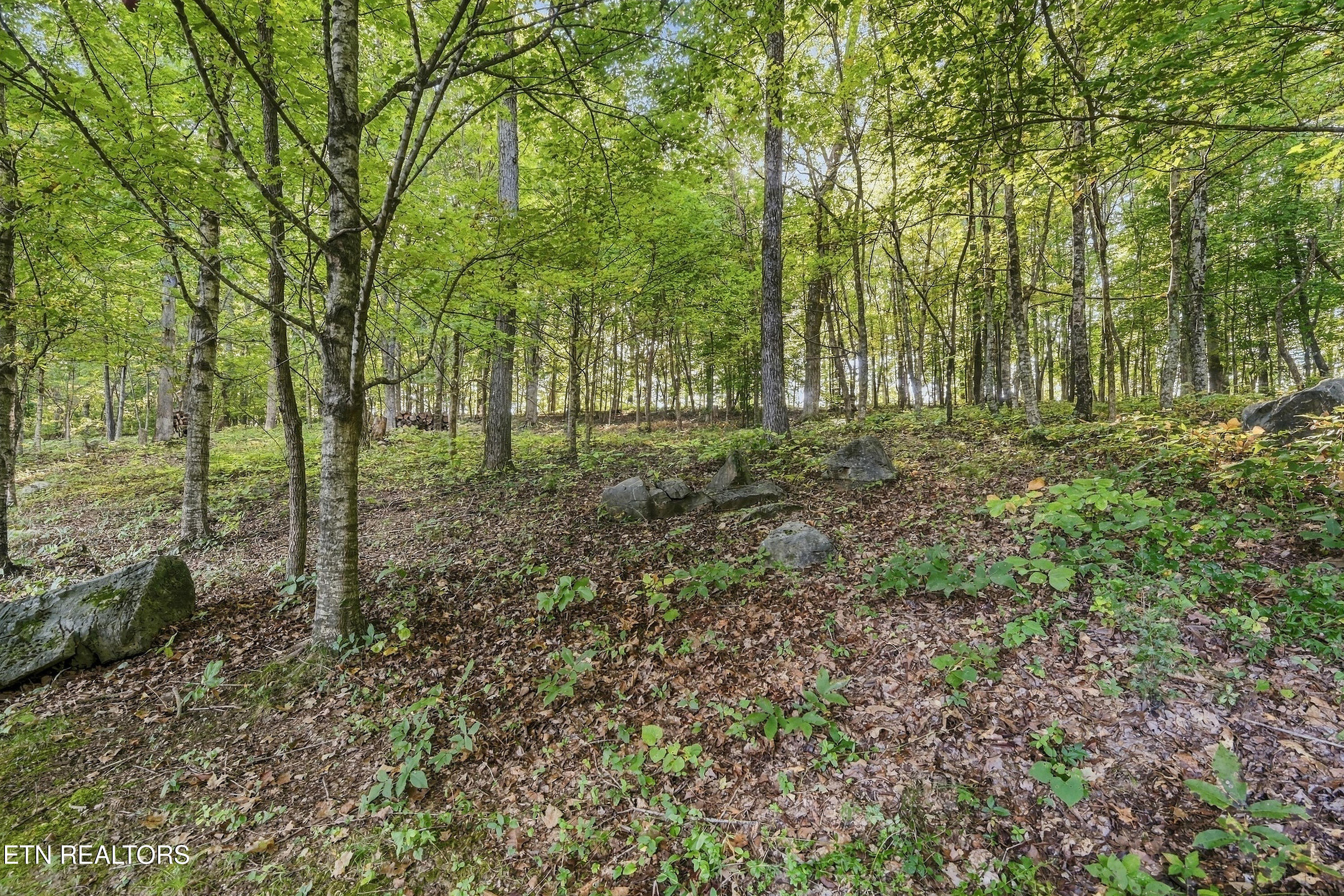 2021 Compton Court Sevierville TN 37876