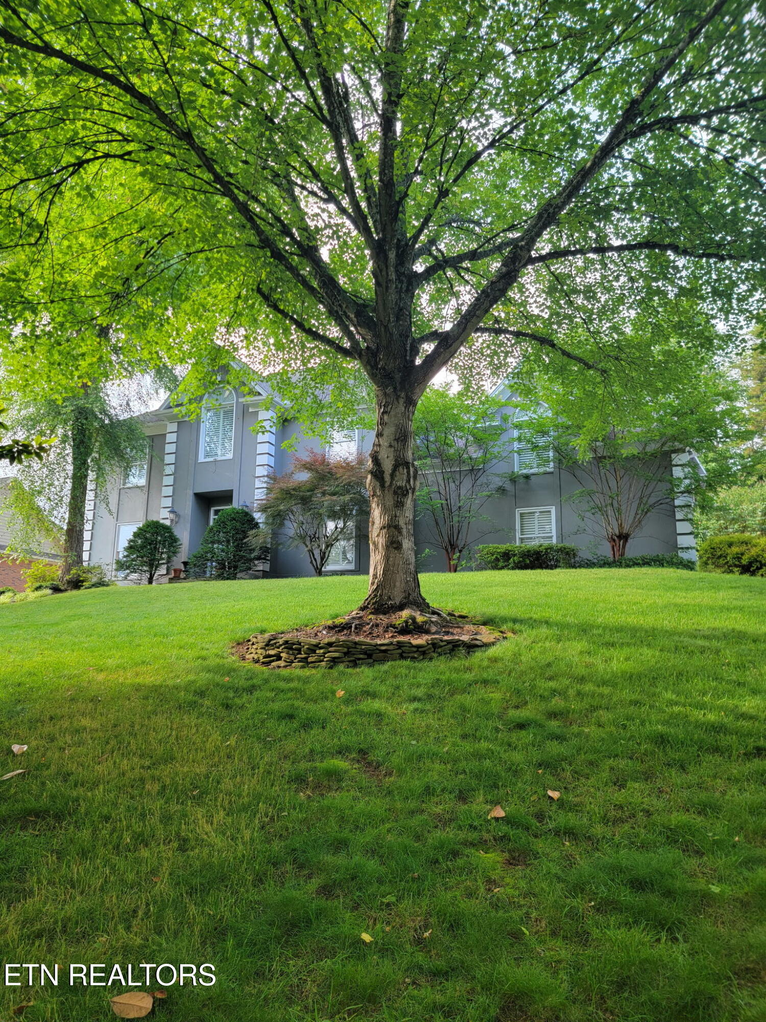 Knoxville TN, 312 Axton Drive