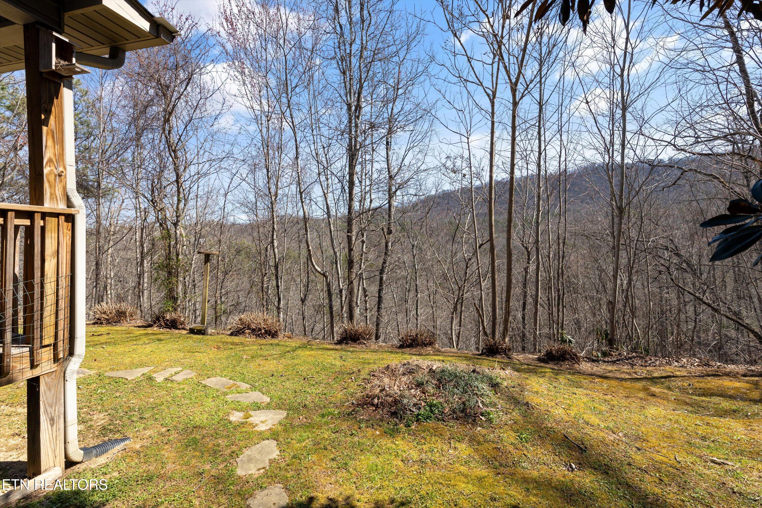 4442 Grindstone Ridge Road Pigeon Forge TN 37863