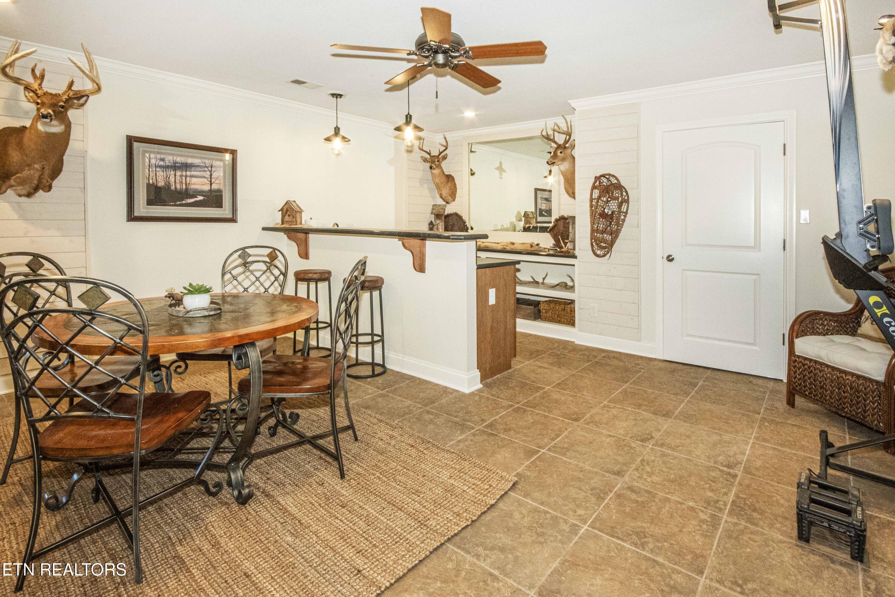 9436 Naff Road Heiskell TN 37754