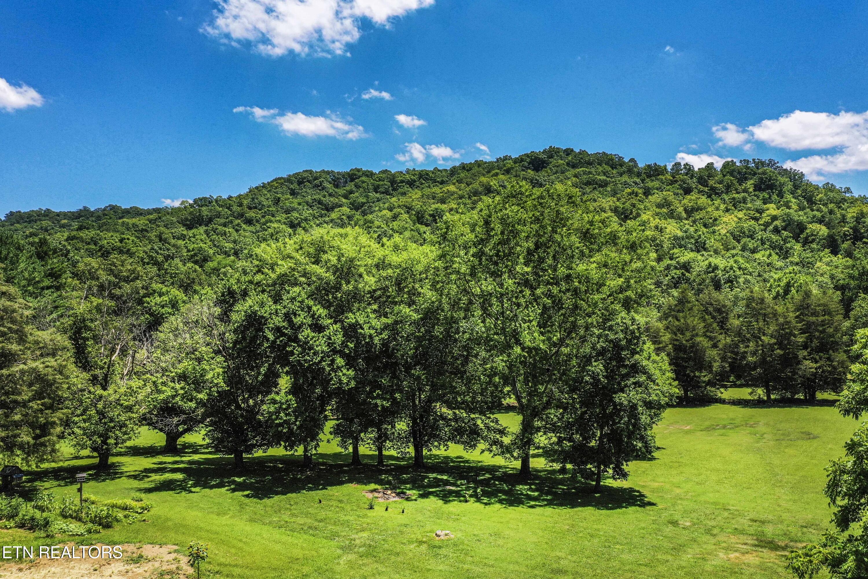 9436 Naff Road Heiskell TN 37754