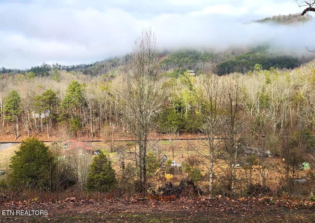 7732 Cedar Creek Road Townsend TN 37882