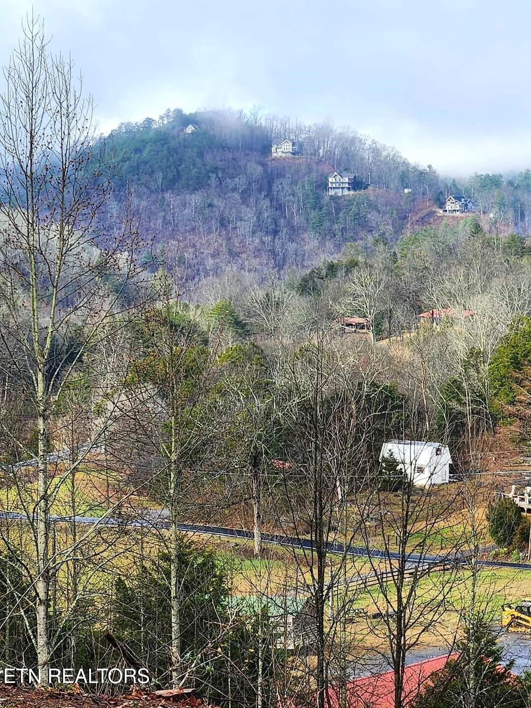 7732 Cedar Creek Road Townsend TN 37882