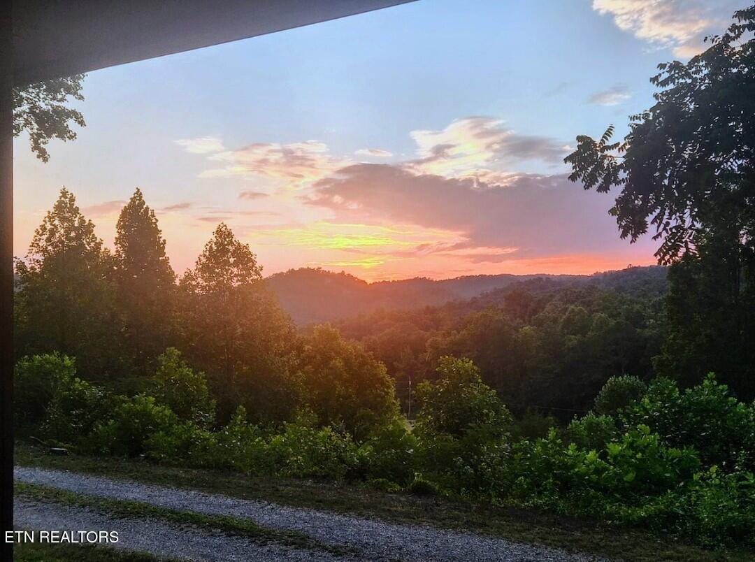 7732 Cedar Creek Road Townsend TN 37882