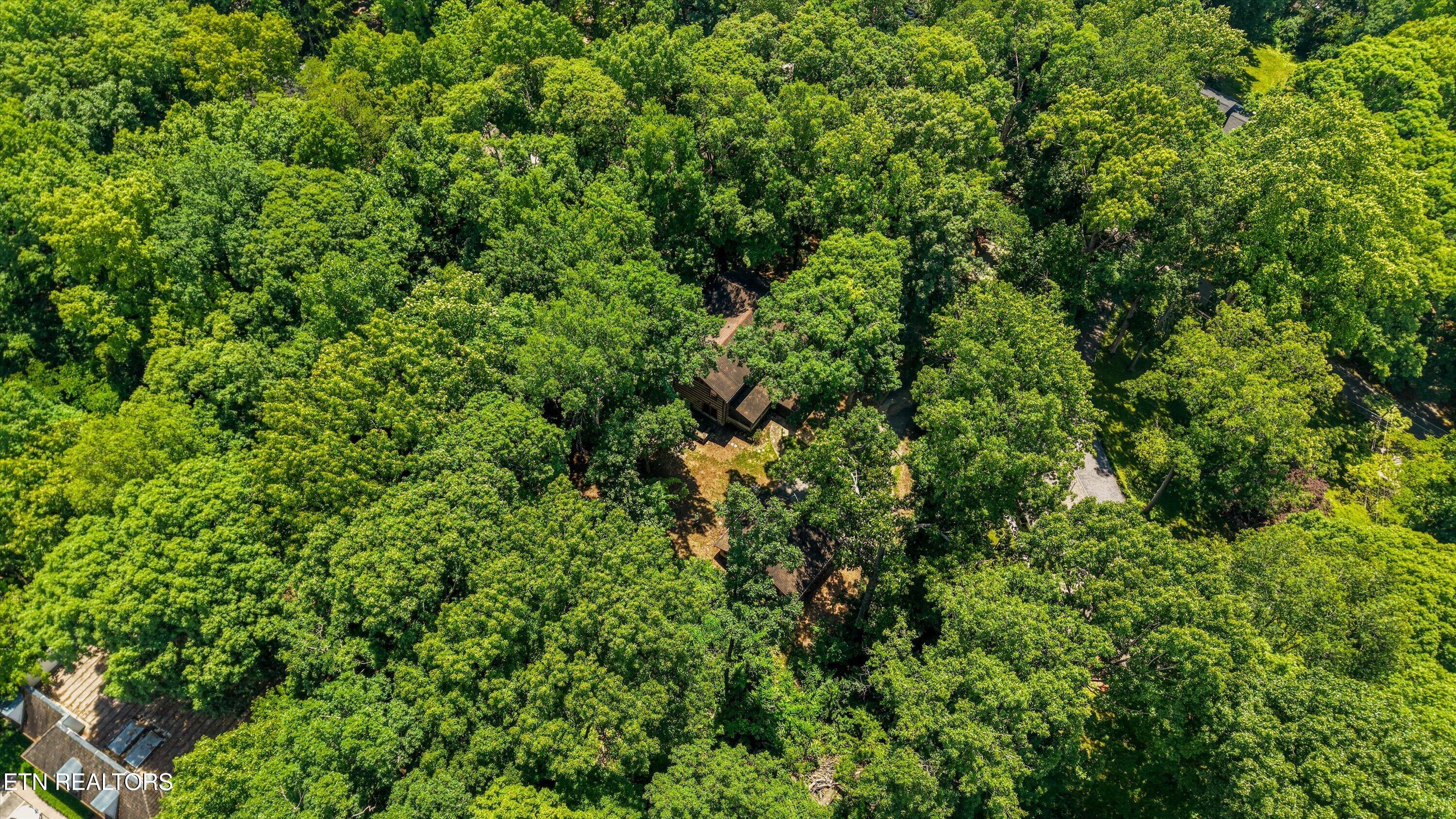 122 Land Oak Road Knoxville TN 37922