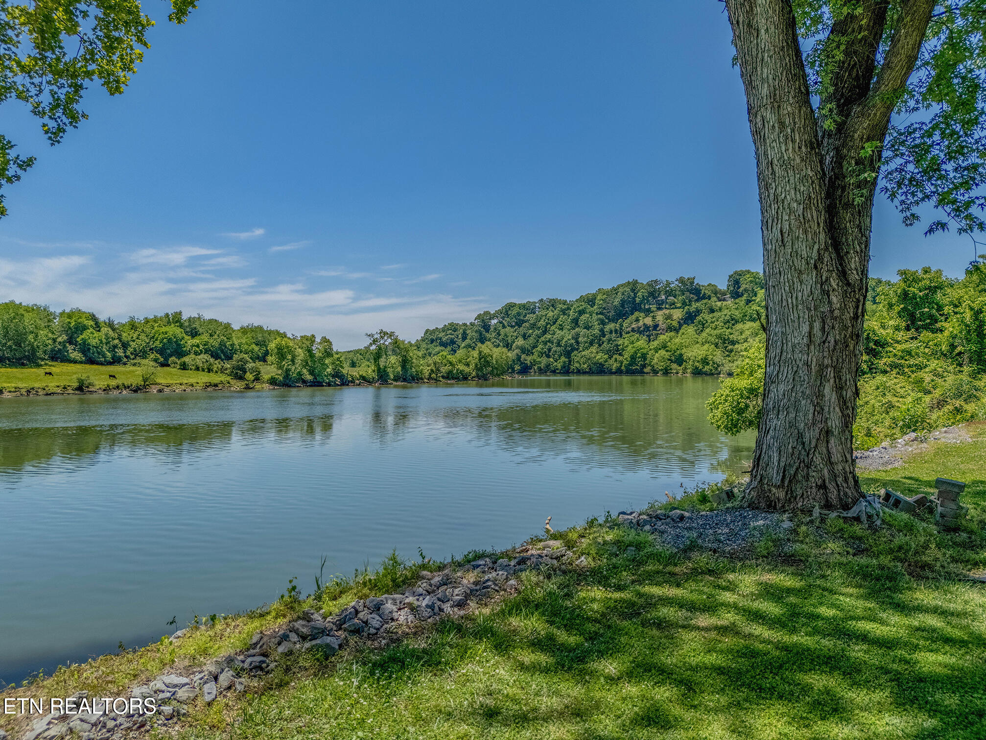 3139 Betsy Court Kodak TN 37764