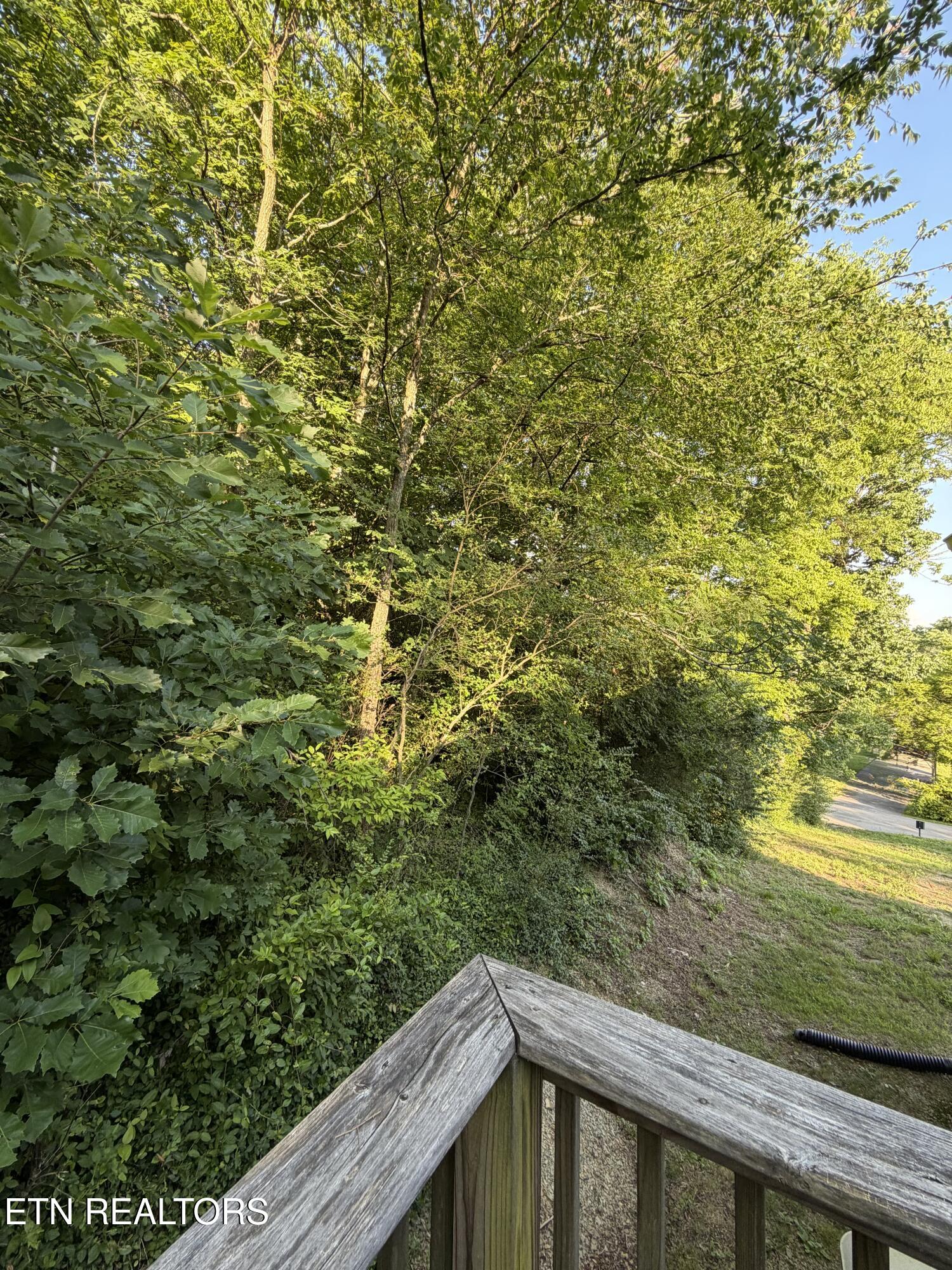 228 Williams Road Seymour TN 37865
