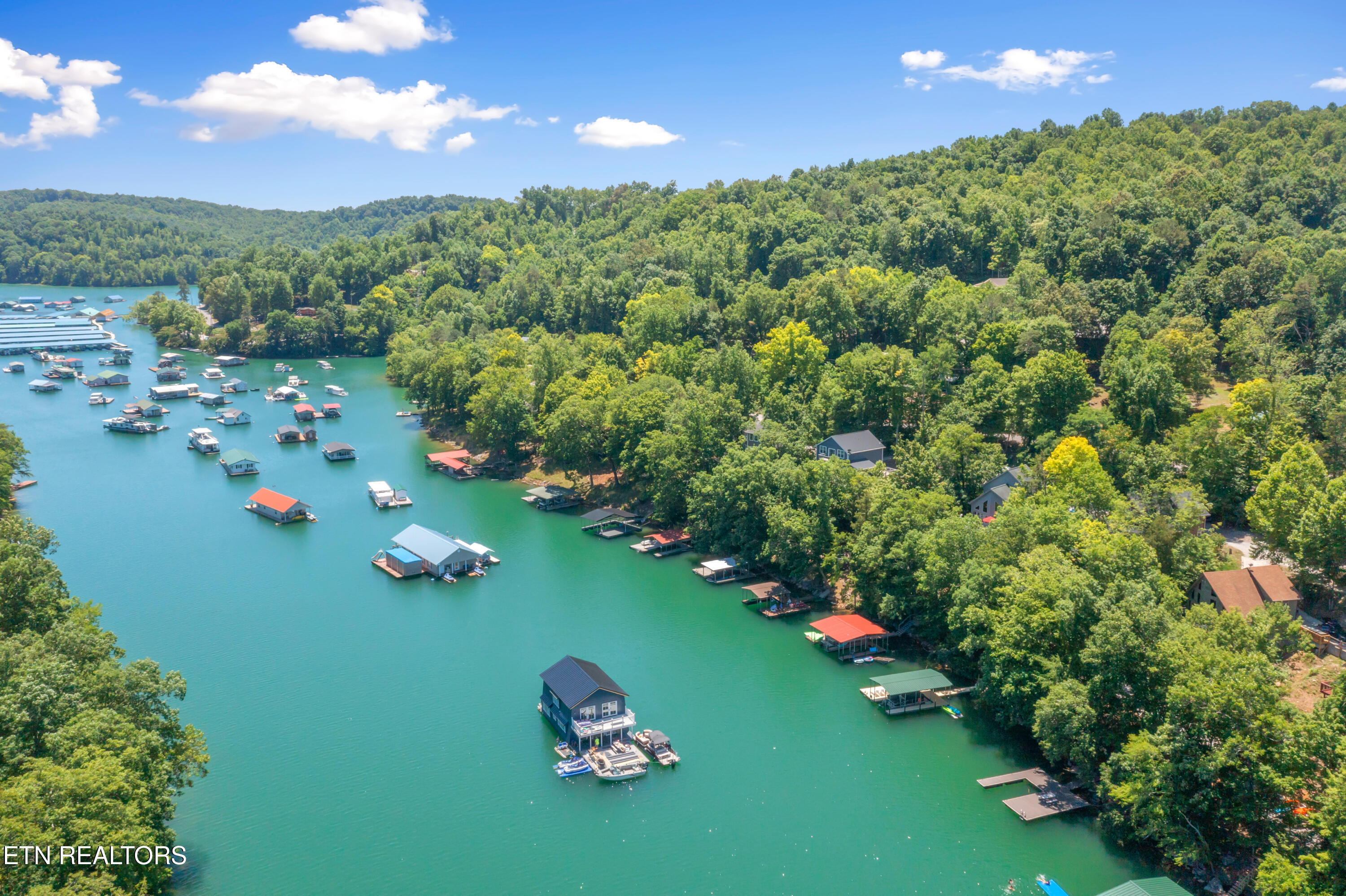 147 Flat Lake Circle Speedwell TN 37870