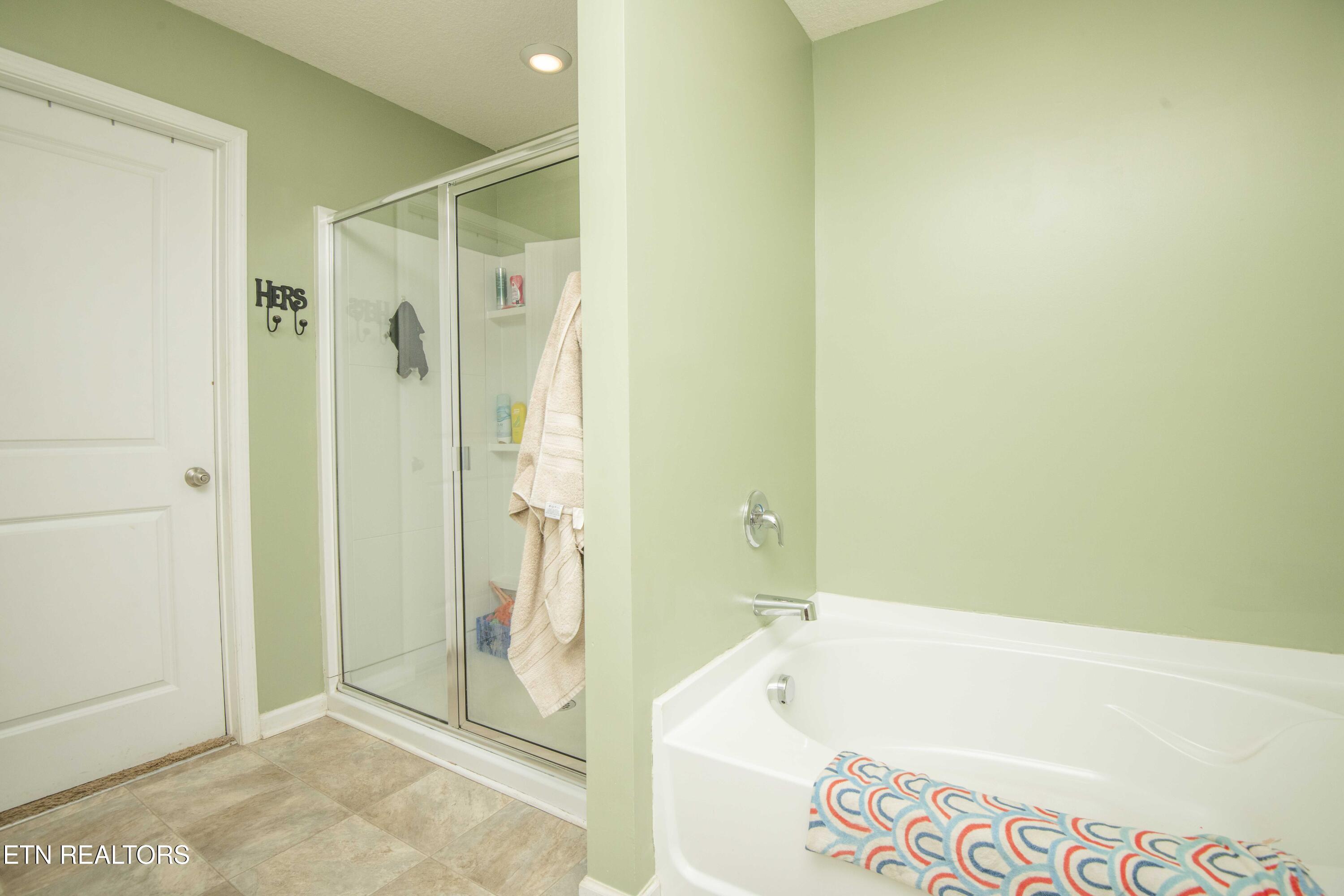 831 Old Towne Loop Drive Seymour TN 37865