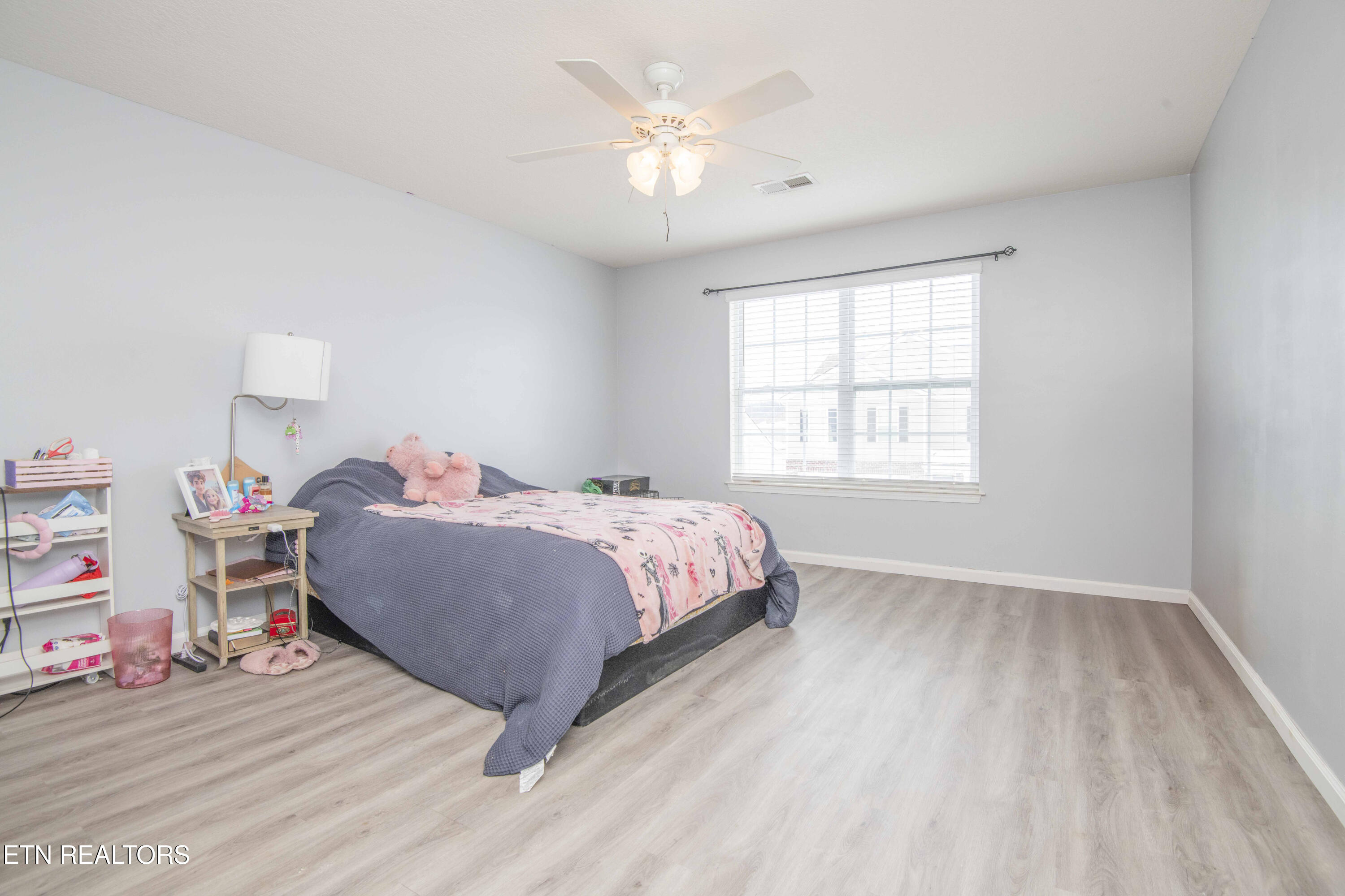 831 Old Towne Loop Drive Seymour TN 37865